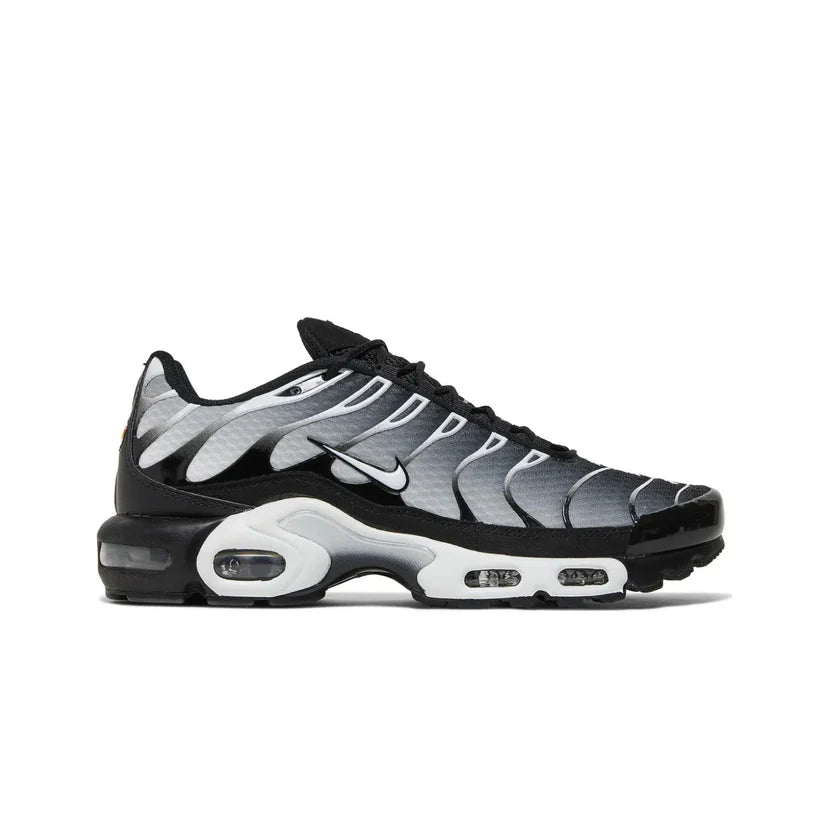 Nike Air Max TN Black Metallic SIlver