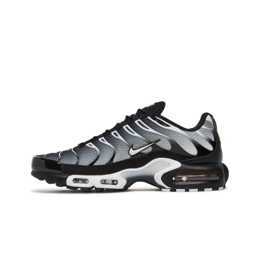 Nike Air Max TN Black Metallic SIlver