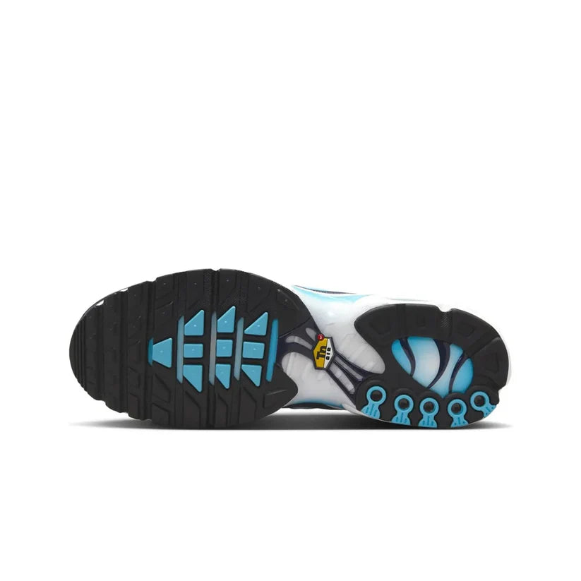 Nike Air Max TN Dark Obsidian