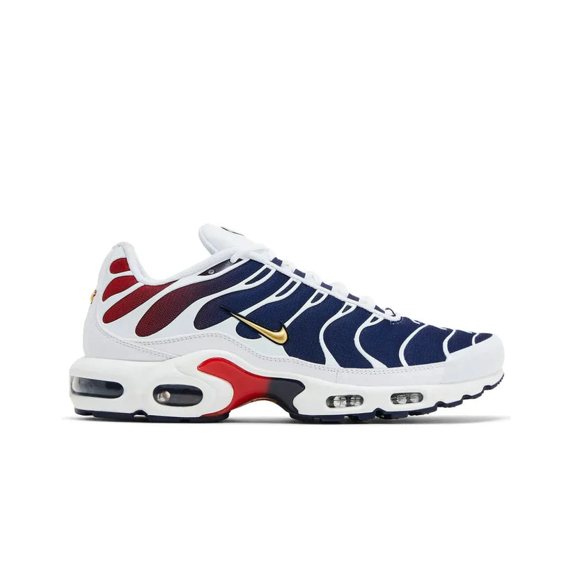 Nike Air Max TN PSG