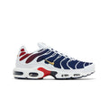 Nike Air Max TN PSG