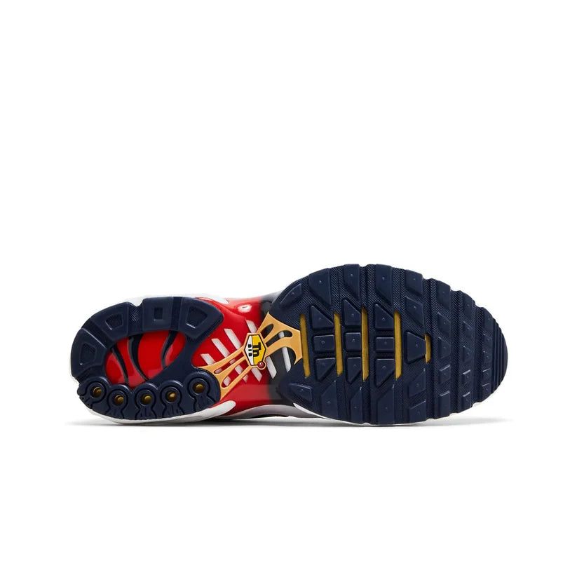 Nike Air Max TN PSG